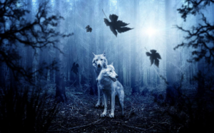 Les loups garous de thiercelieux : le jeu de societe fascinant